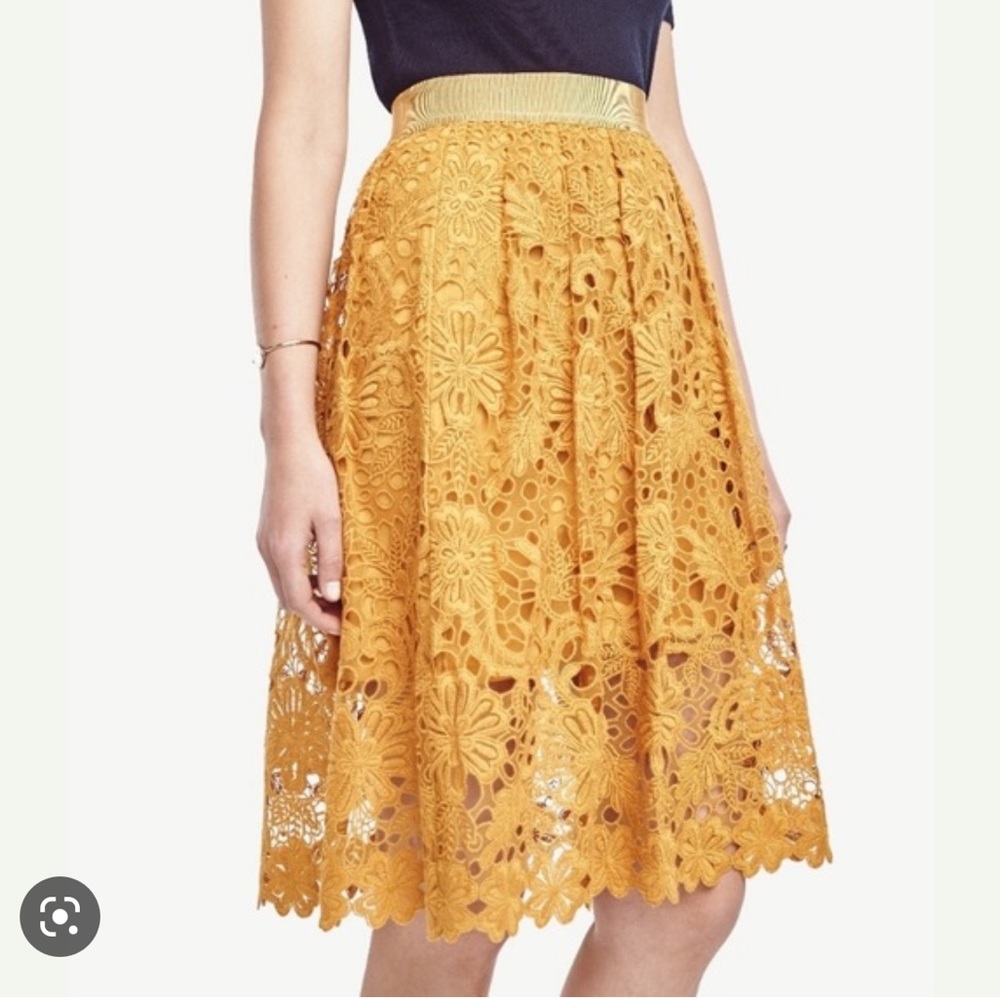 Ann Taylor Embroidered Skirt